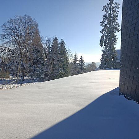 Appartement In Het Sportgebied Van Winterberg Dış mekan fotoğraf
