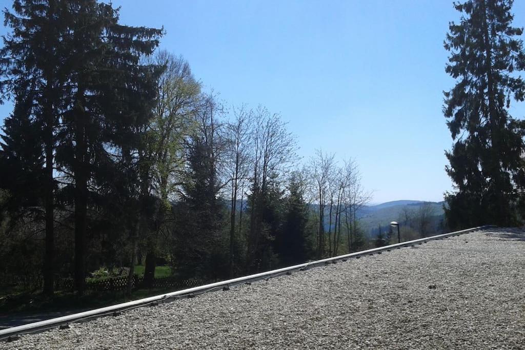 Appartement In Het Sportgebied Van Winterberg Dış mekan fotoğraf